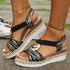 Zebra klasicka